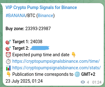 Signal validation: BANANA pump evidence on Binance, 23 July 2025, 01:30
