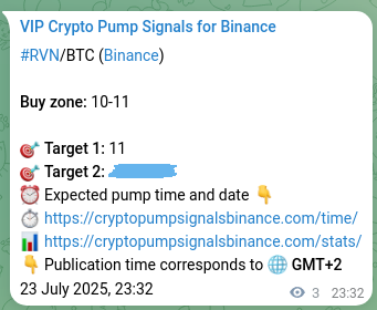 Pump authentication: RVN signal verification on Binance, 23 July 2025, 23:38