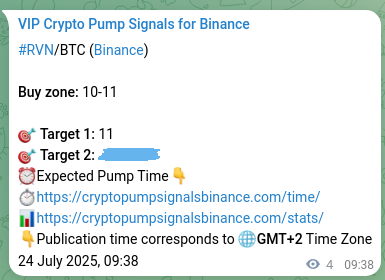 Trading accuracy verification: RVN signal on Binance, 24 July 2025, 09:44 Signal reliability: RVN pump verification on Binance, 24 July 2025, 09:44