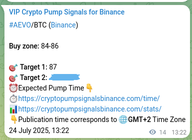 Trading proof verification: AEVO signal on Binance, 24 July 2025, 13:44 Trading accuracy: AEVO signal validation on Binance, 24 July 2025, 13:44