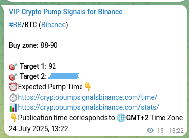 Authenticated proof of BB's pump signal on Binance at 24 July 2025, 13:45 Pump validation: BB signal confirmation on Binance, 24 July 2025, 13:45