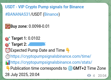 Authenticated proof of BANANAS31's pump signal on Binance at 28 July 2025, 20:11
