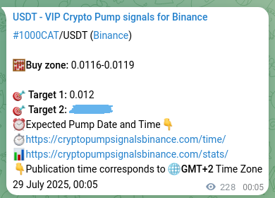 Confirm the trading signal for 1000CAT pump on Binance at 29 July 2025, 06:25 Trading signal confirmation: 1000CAT pump on Binance at 29 July 2025, 06:25