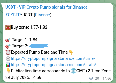 Explore the crypto trading signal verification for CYBER pump on Binance, 29 July 2025, 15:29 Crypto trading signal verification: CYBER pump on Binance, 29 July 2025, 15:29