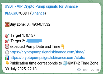 Check the Binance signal verification for MAGIC pump, 31 July 2025, 02:50 Binance signal verification for MAGIC pump, 31 July 2025, 02:50