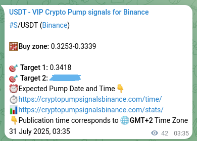 View the trading signal verification for S pump from Binance, 31 July 2025, 04:40 Trading signal verification: S pump from Binance, 31 July 2025, 04:40