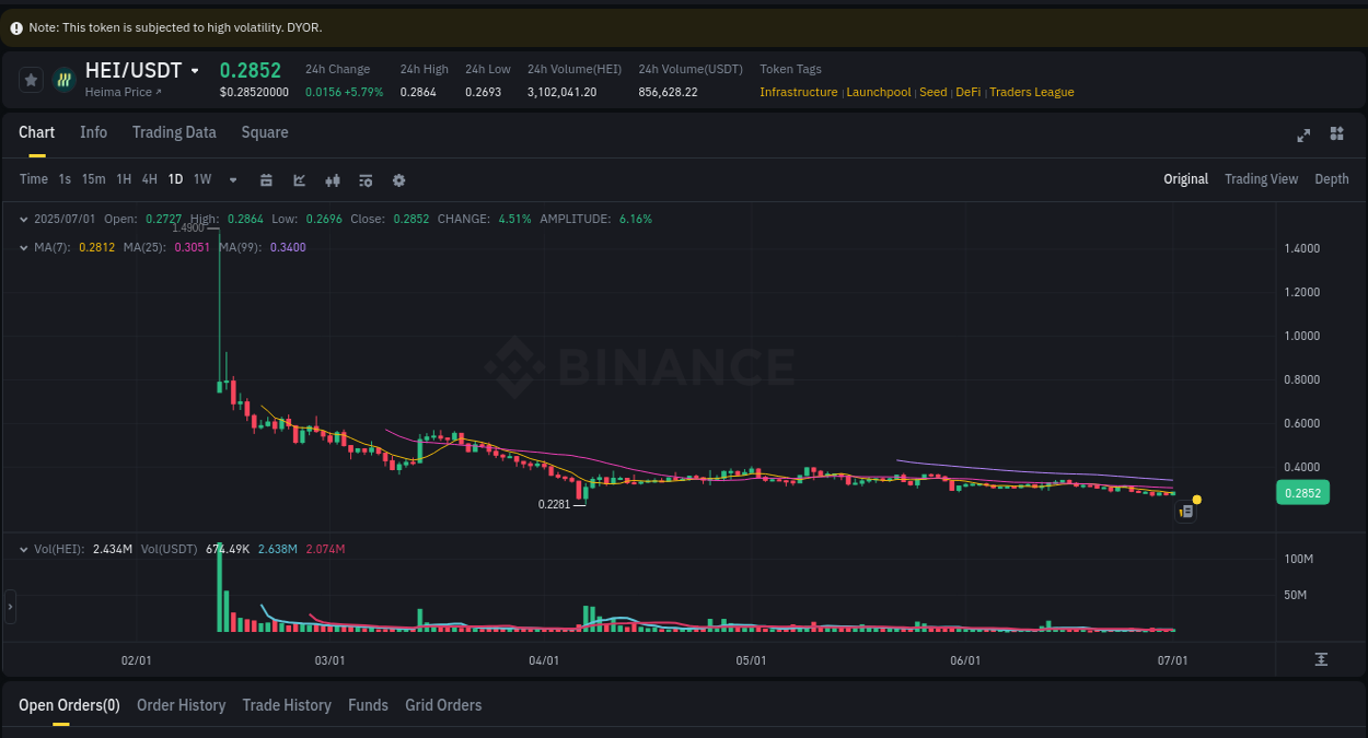 Detailed insights into HEI's pump on Binance at 01 July 2025, 16:09 Detailed report of HEI's pump on Binance at 01 July 2025, 16:09