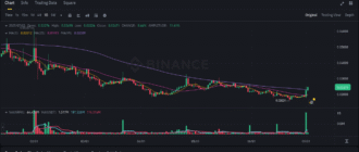 report 20250702 0242 - Report of coin pump on Binance - 02 July 2025