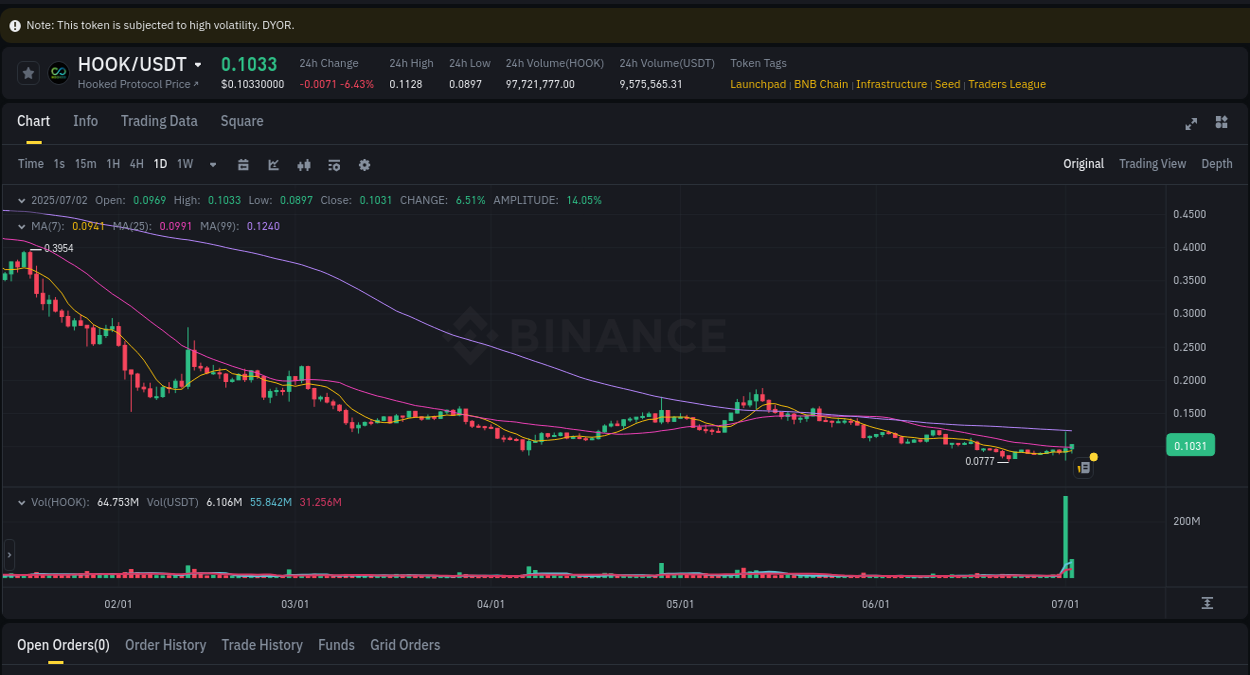 Analyze the crypto trading report for HOOK pump on Binance, 02 July 2025, 20:51 Crypto trading analysis: HOOK pump on Binance, 02 July 2025, 20:51