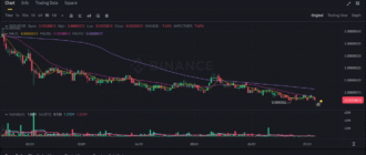 report 20250705 2204 - Report of coin pump on Binance - 05 July 2025