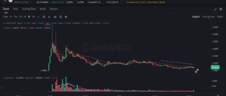 report 20250706 0032 - Report of coin pump on Binance - 06 July 2025