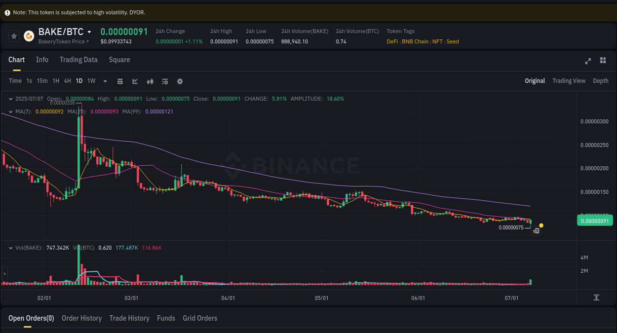 Binance trading report for BAKE pump, 07 July 2025, 07:09 Trading insight: BAKE pump report from Binance, 07 July 2025, 07:09