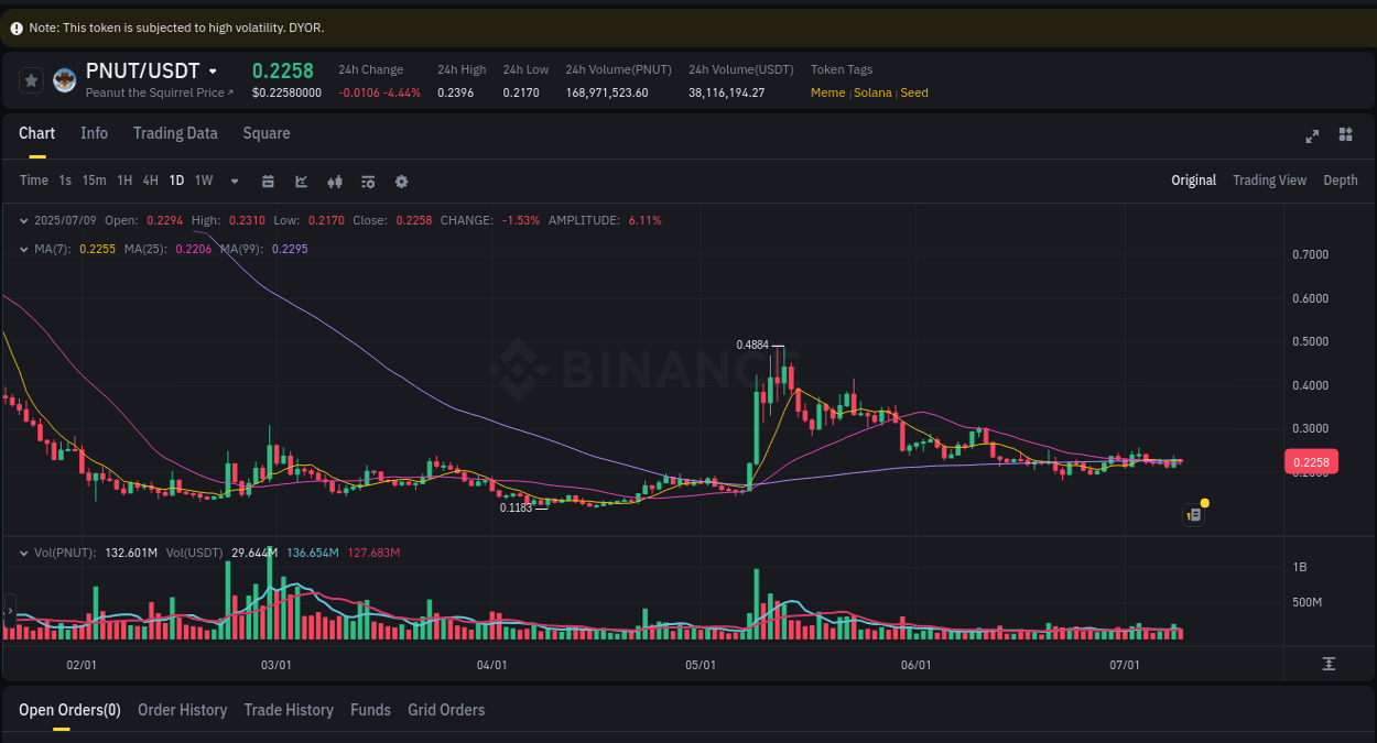 Crypto market update: PNUT pump on Binance, 09 July 2025, 21:27 Crypto market update: PNUT pump on Binance, 09 July 2025, 21:27