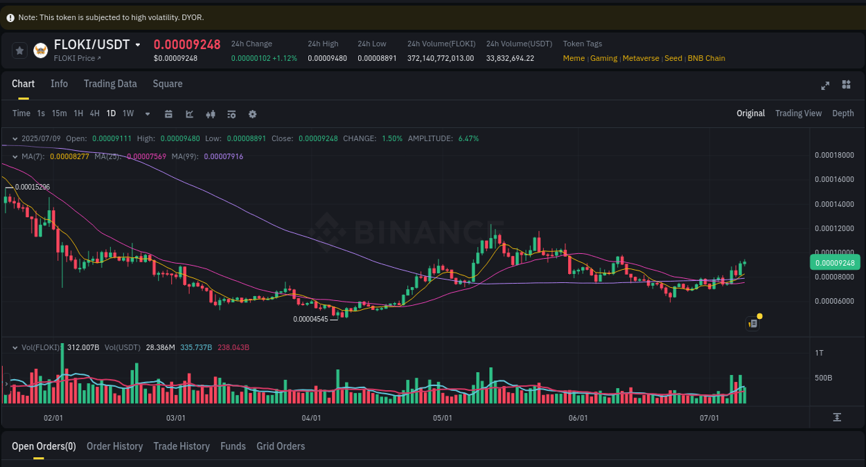 Explore the pump analysis for FLOKI on Binance, 09 July 2025, 22:00 Binance pump analysis for FLOKI, 09 July 2025, 22:00