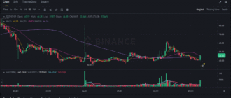 report 20250710 0008 - Report of coin pump on Binance - 10 July 2025