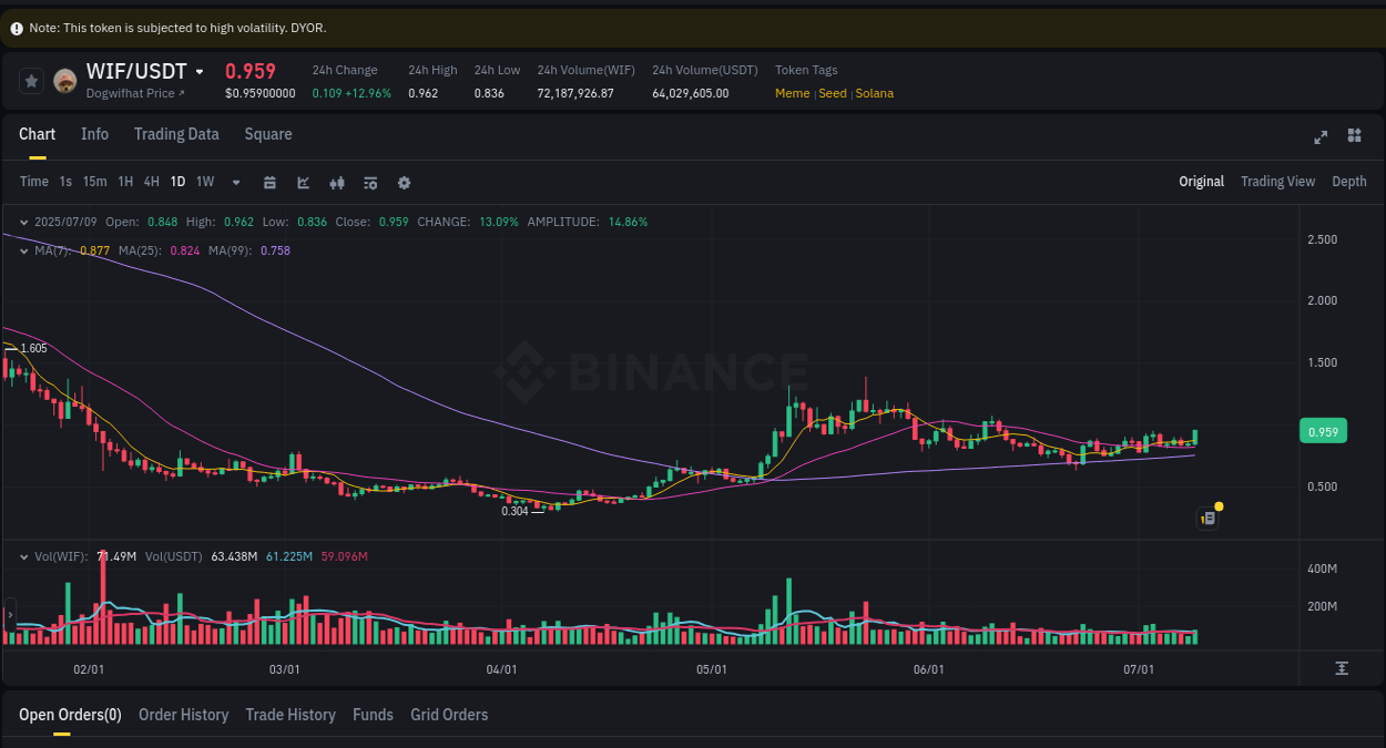 Binance trading report for WIF pump, 10 July 2025, 01:21 Binance trading report for WIF pump, 10 July 2025, 01:21