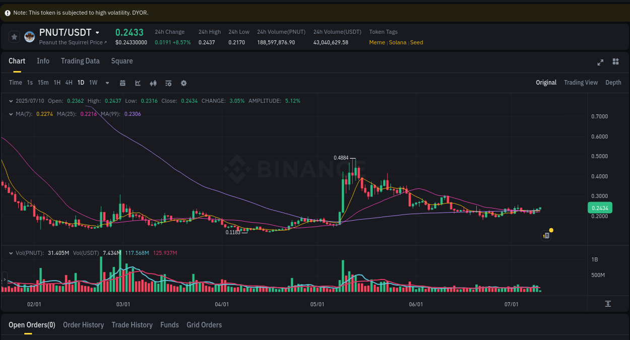Detailed insights into PNUT's pump on Binance at 10 July 2025, 06:37 Detailed report of PNUT's pump on Binance at 10 July 2025, 06:37