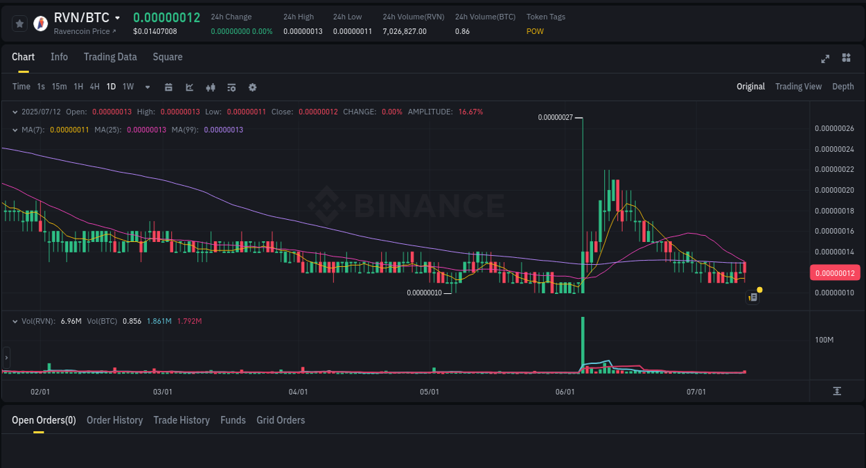Binance trading report for RVN pump, 12 July 2025, 23:12 Crypto trading report: RVN pump on Binance, 12 July 2025, 23:12