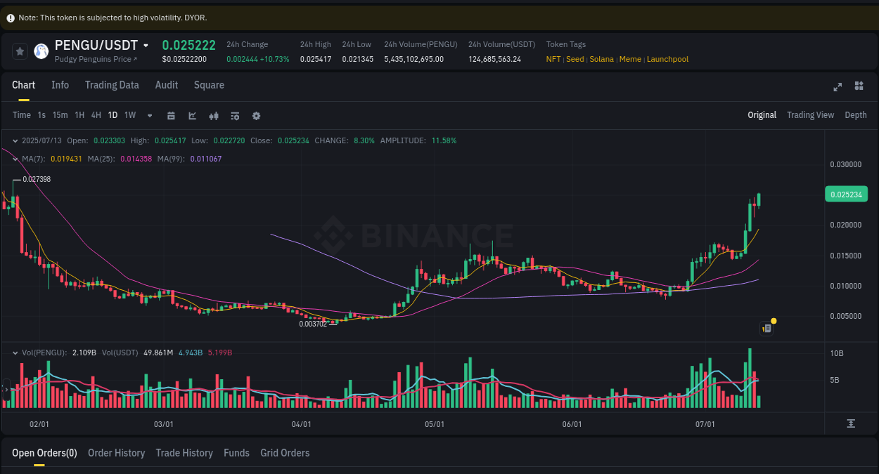Watch the live report of PENGU pump on Binance, 13 July 2025, 12:05 Live report of PENGU pump on Binance, 13 July 2025, 12:05