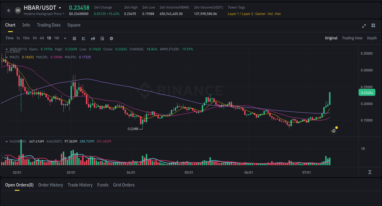 View the exchange pump report for HBAR on Binance, 13 July 2025, 12:24 Binance exchange trading report for HBAR, 13 July 2025, 12:24