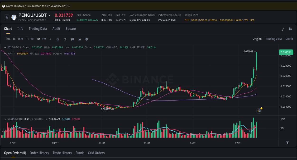 Binance pump data for PENGU at 13 July 2025, 21:26 Binance pump data for PENGU at 13 July 2025, 21:26