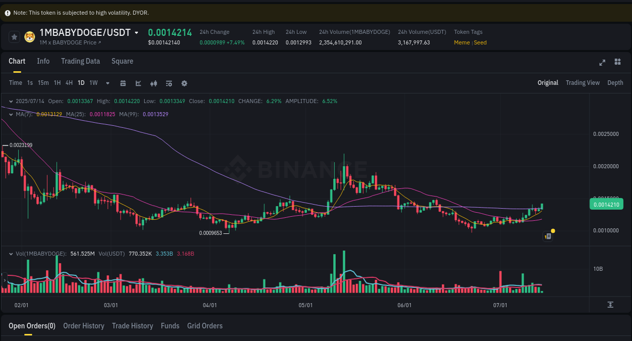 Crypto market update: 1MBABYDOGE pump on Binance, 14 July 2025, 06:57