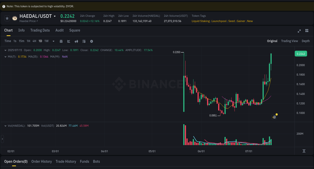 View the trading report for HAEDAL pump on Binance, 15 July 2025, 19:03 Binance trading data for HAEDAL pump, 15 July 2025, 19:03