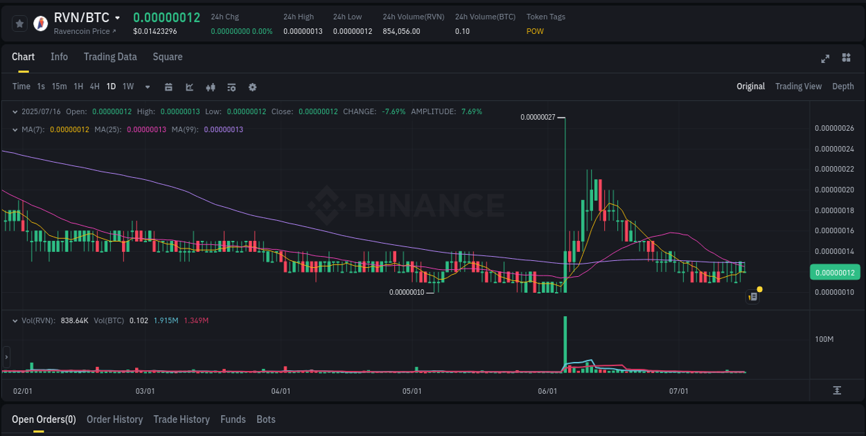 Real-time report of RVN pump on Binance, 17 July 2025, 01:09 Binance trading report for RVN pump, 17 July 2025, 01:09