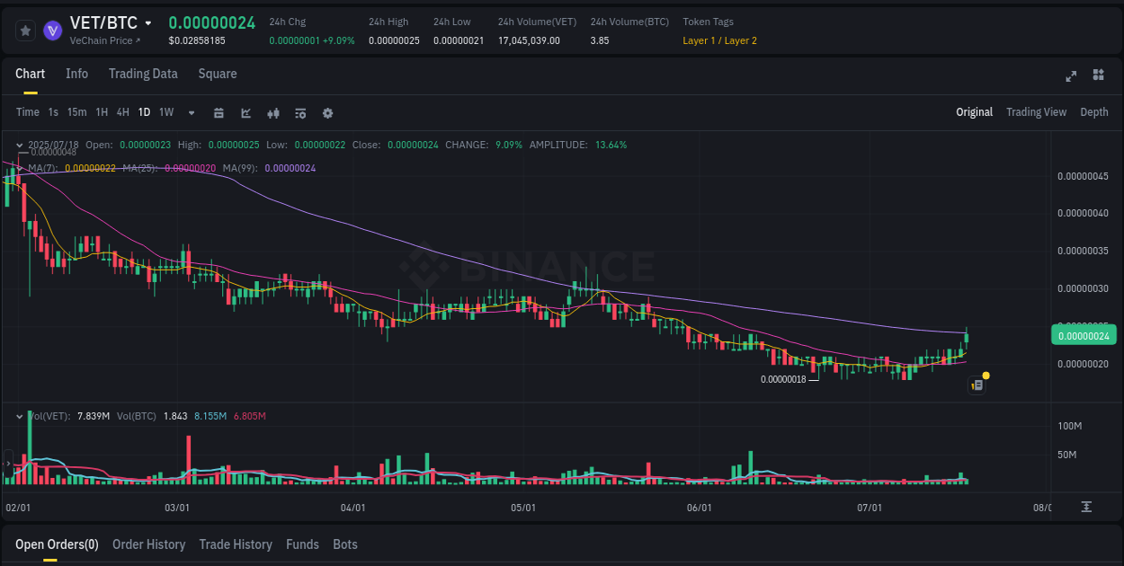 Price discovery insights: VET rally on Binance, 18 July 2025, 15:05 Report of VET pump on Binance at 18 July 2025, 15:05