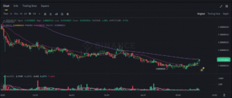 report 20250719 1224 - Report of coin pump on Binance - 19 July 2025