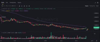 report 20250720 2031 - Report of coin pump on Binance - 20 July 2025