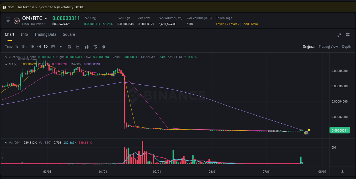 Binance pump data for OM at 21 July 2025, 02:51 Trading velocity: OM pump dynamics on Binance, 21 July 2025, 02:51