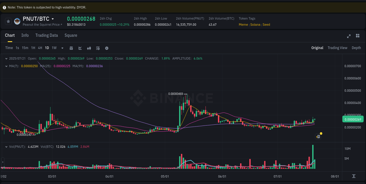 Volume analysis: Examine PNUT pump on Binance at 21 July 2025, 08:25 Crypto market update: PNUT pump on Binance, 21 July 2025, 08:25