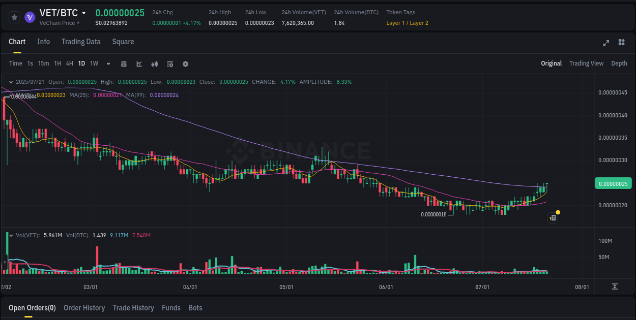 Market flow assessment: VET pump on Binance, 21 July 2025, 16:13 Crypto pump report: VET on Binance, 21 July 2025, 16:13