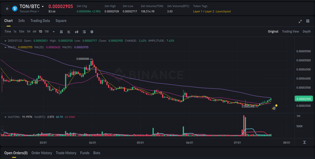 Volume analysis: Examine TON pump on Binance at 22 July 2025, 15:32 Binance trading report for TON pump, 22 July 2025, 15:32
