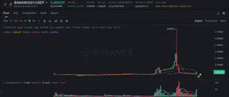 report 20250728 1857 - Report of coin pump on Binance - 28 July 2025