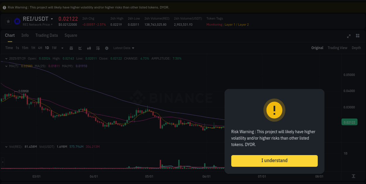 Access Binance pump statistics for REI at 29 July 2025, 17:32 Binance pump statistics for REI at 29 July 2025, 17:32