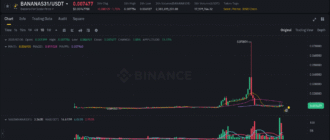 report 20250731 0006 - Report of coin pump on Binance - 31 July 2025
