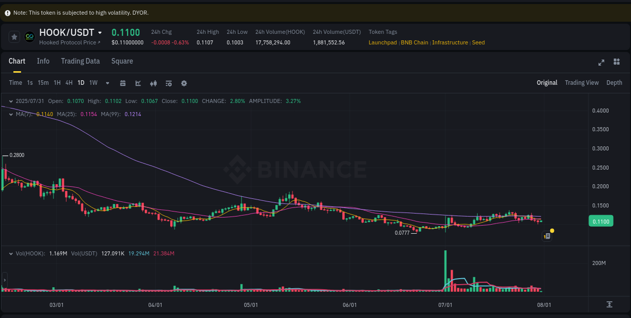 Explore trading insights for HOOK pump on Binance, 31 July 2025, 05:54 Crypto trading insights: HOOK pump on Binance, 31 July 2025, 05:54