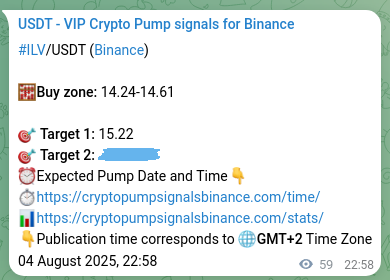 View the proof of ILV pump signal on Binance at 05 August 2025, 00:37 Proof of ILV pump signal on Binance at 05 August 2025, 00:37