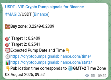 Market signal verification: MAGIC on Binance at 08 August 2025, 11:22 Market signal verification: MAGIC on Binance at 08 August 2025, 11:22