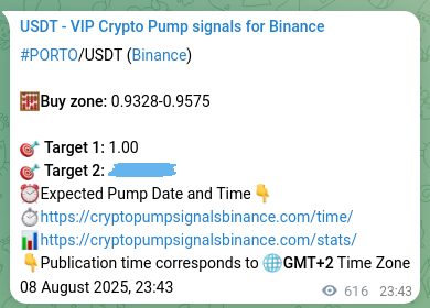 Validate execution timing: PORTO pump signal precision on Binance, 09 August 2025, 16:49 Risk-adjusted verification: PORTO pump signal quality on Binance, 09 August 2025, 16:49