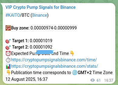 Signal authentication: Validate KAITO pump on Binance, 12 August 2025, 18:18 Signal authentication: KAITO pump validation on Binance, 12 August 2025, 18:18