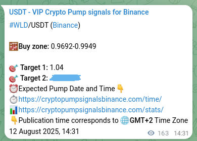 Confirm mathematical precision: WLD trading signal proof on Binance, 12 August 2025, 19:03 Systematic verification: WLD trading signal accuracy on Binance, 12 August 2025, 19:03