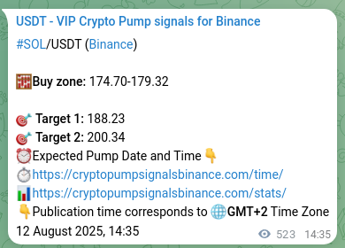 Binance signal verification for SOL pump, 13 August 2025, 05:03