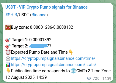 Predictive verification: SHIB pump signal reliability on Binance, 13 August 2025, 10:30