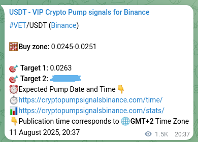 Proof of VET pump signal on Binance at 13 August 2025, 15:37
