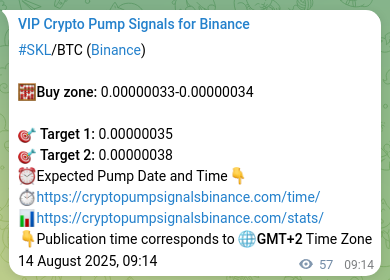 Trading verification: Confirm SKL signal accuracy on Binance, 14 August 2025, 10:48 Signal accuracy: SKL pump confirmation on Binance, 14 August 2025, 10:48