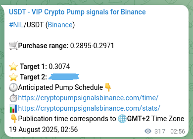 Binance trading signal confirmation for NIL pump, 19 August 2025, 11:37