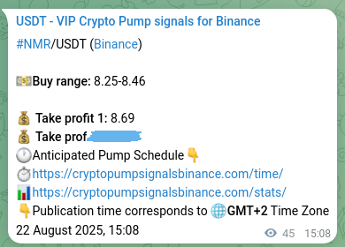 Binance pump signal confirmation for NMR at 22 August 2025, 16:24